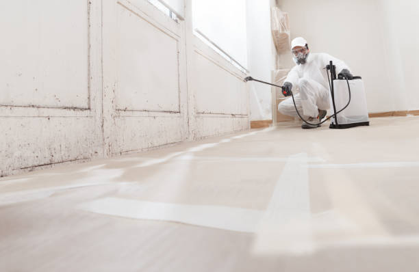 24/7 Emergency Mold Remediation experts in Allentown, PA