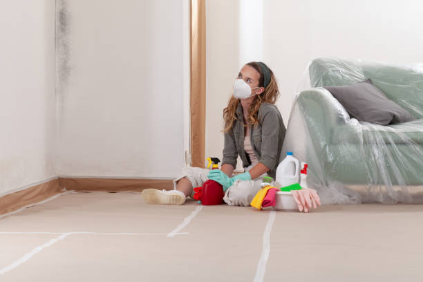 Reliable Mold Remediation contractor in Allentown, PA by WQB Mold Removal